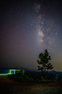 Trees on field against sky at night