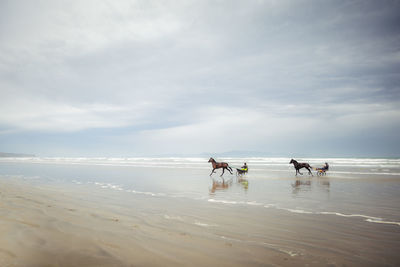 People riding horse cart at beach against sky