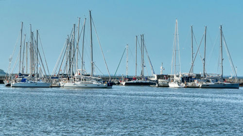 Sailboats moored in harbor against clear sky