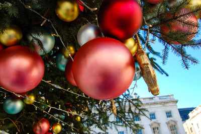 Low angle view of christmas tree