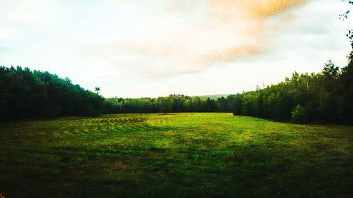 Scenic view of grassy field against cloudy sky