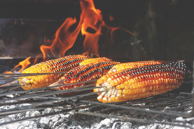 Ripe golden corncob on the grill with smoke and flame on ash background. 