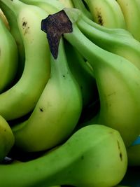 Close-up of fruits for sale in market