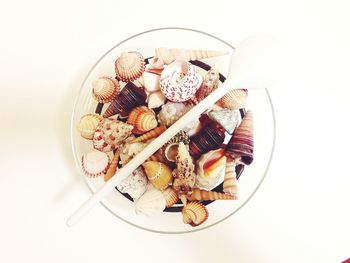 High angle view of food on table against white background