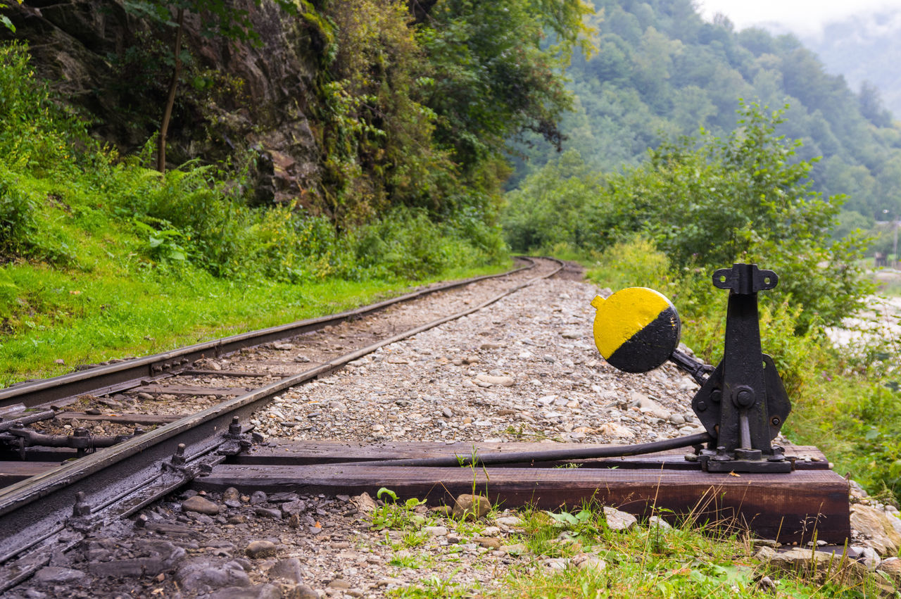 RAILROAD TRACK AMIDST TREES AND PLANTS