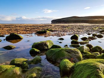 Scenic view of rocks by sea against sky