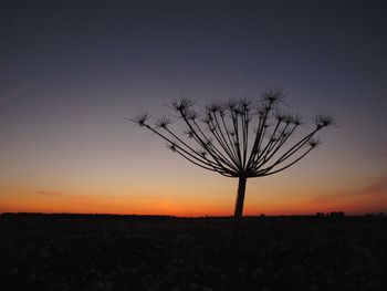 Silhouette tree on field against sky during sunset