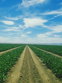 Scenic view of field against cloudy sky