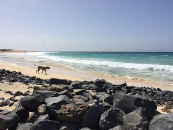 Scenic view of beach against clear sky