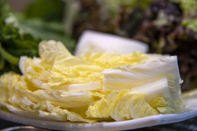 Close-up of fresh napa cabbage in plate