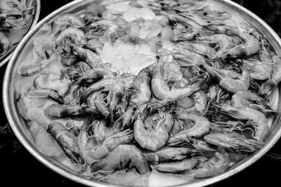 High angle view of prawns