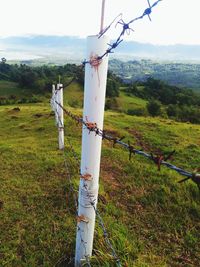 Scenic view of agricultural field