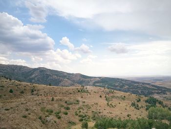 Scenic view of field against sky