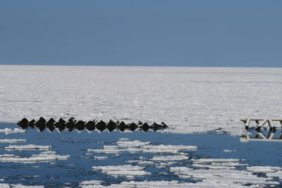 Scenic view of sea against clear sky