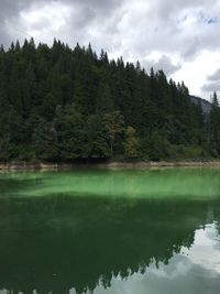 Scenic view of lake by trees against sky