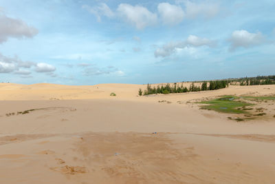 Scenic view of desert against sky