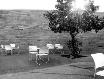 Empty chairs and table against trees