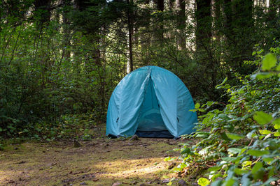 View of tent in forest