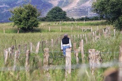 Rear view of man walking on field during sunny day