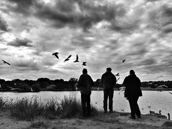 Rear view of men standing on birds against sky