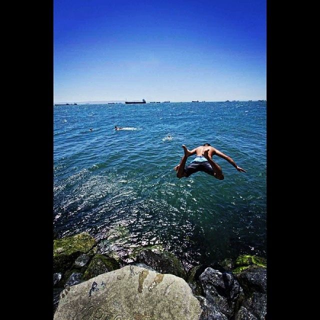 water, sea, animal themes, animals in the wild, bird, wildlife, one animal, clear sky, horizon over water, transfer print, swimming, auto post production filter, blue, flying, copy space, nature, full length, beach, beauty in nature, sky