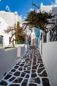Alley amidst buildings in city