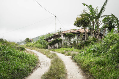 Road amidst plants and trees against sky