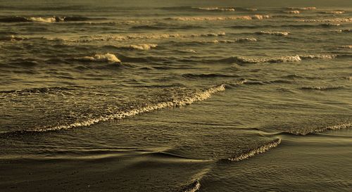 Scenic view of beach