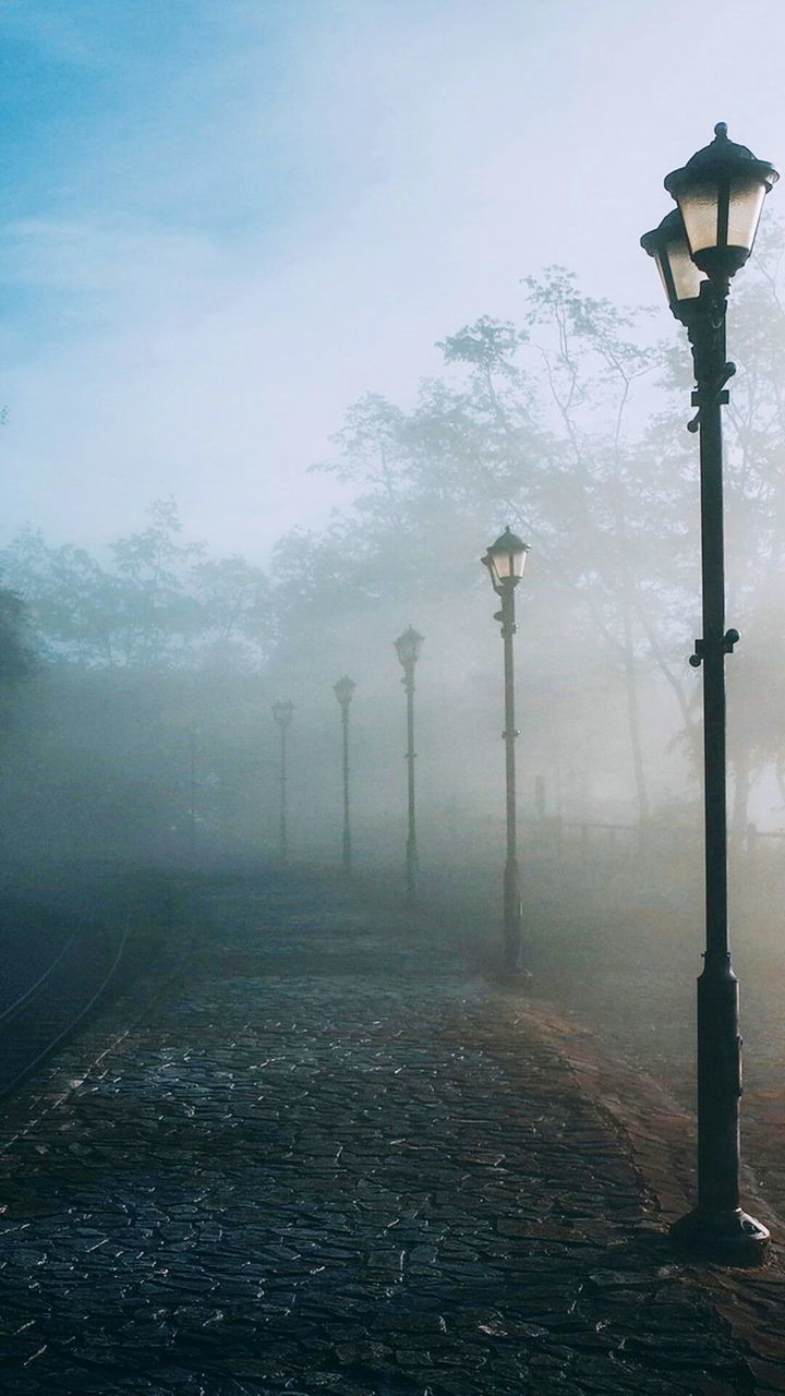 fog, street light, sky, nature, lighting equipment, street, no people, tree, outdoors, plant, tranquility, footpath, cold temperature, day, direction, beauty in nature, winter, environment, the way forward, hazy