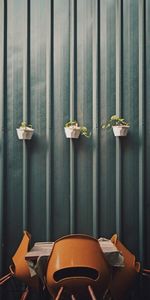 Close-up of potted plant on window