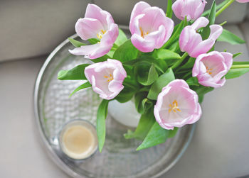 Close-up of pink flowers