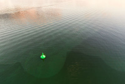  aerial view of buoy floating on lake