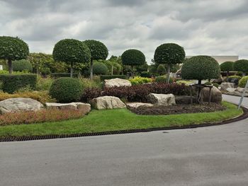 View of plants in garden against cloudy sky