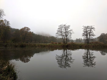Bad weather overcast grey sky photography. colourless fish pond, autumn forest, trees and reflection