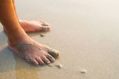 Low section of person standing on sand at beach