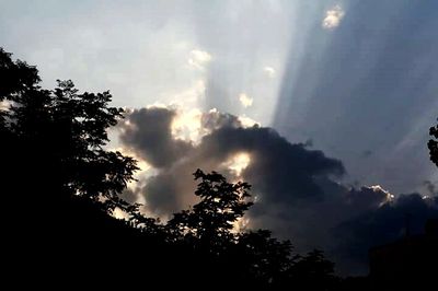 Silhouette of trees against cloudy sky