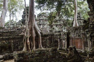 View of buddha statue in temple