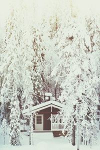 snow