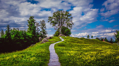 Scenic view of landscape against sky