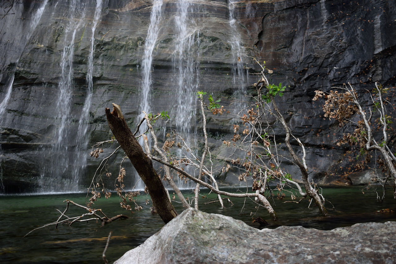 VIEW OF WATERFALL IN FOREST