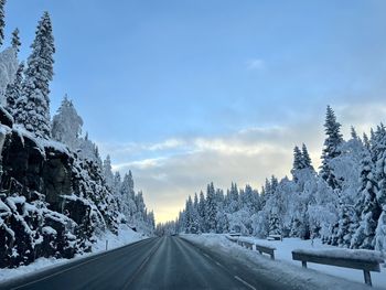 Road amidst trees against sky