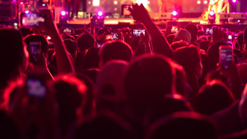 Crowd at music concert