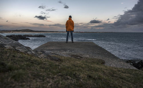 Rear view of man standing on beach