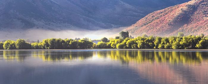 Scenic view of lake by trees against sky