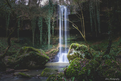 Waterfall in forest