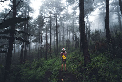 Man standing amidst trees in forest