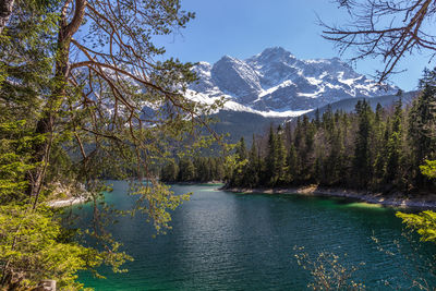 Scenic view of lake by trees against sky