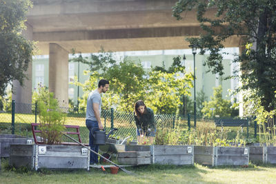 Mid adult couple working in community garden