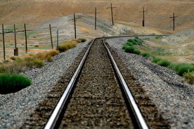 Railroad tracks and telegraph poles in perspective 
