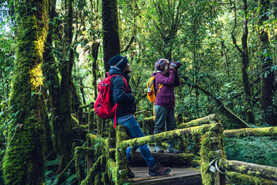 Rear view of men walking in forest